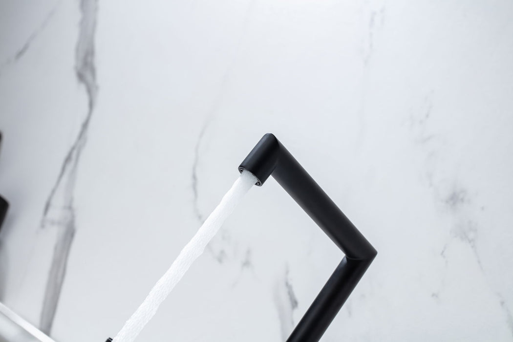 Widespread Bathroom Faucet - Black