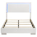 Felicity - High Headboard Panel Bed with LED Lighting Unique Piece Furniture