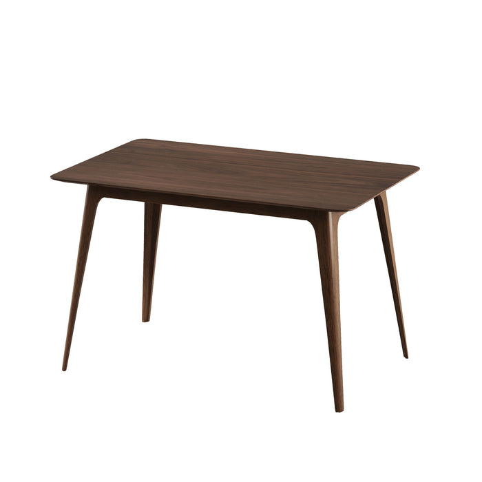 Modern Aesthetic Dining Table