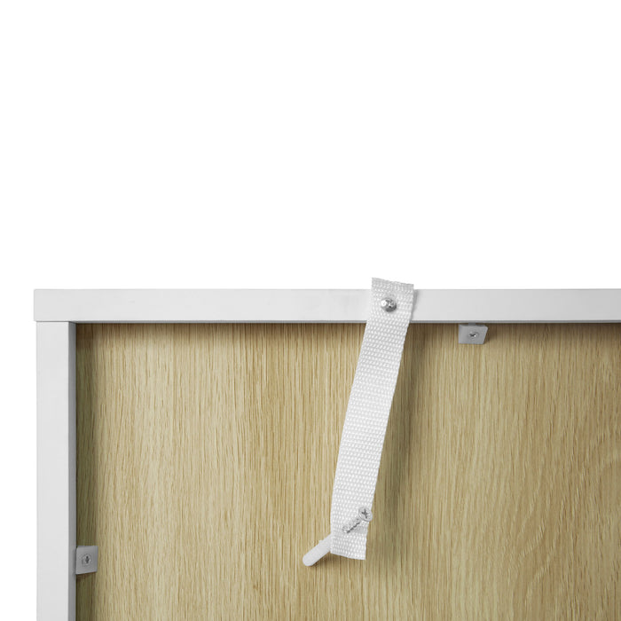 Storage Cabinet With Acrylic Door For Living Room