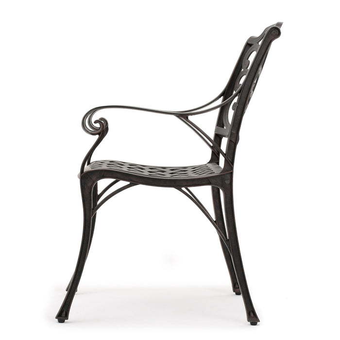 Patio Cast Aluminum Outdoor Dining Chairs (Set of 2) - Bronze