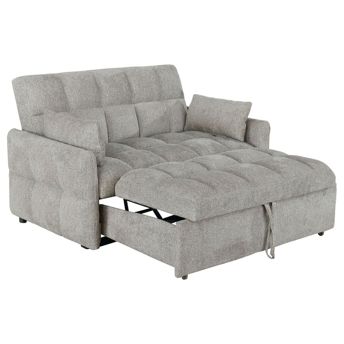 Alvara - Tufted Cushion Pull Out Sleeper Sofa Bed