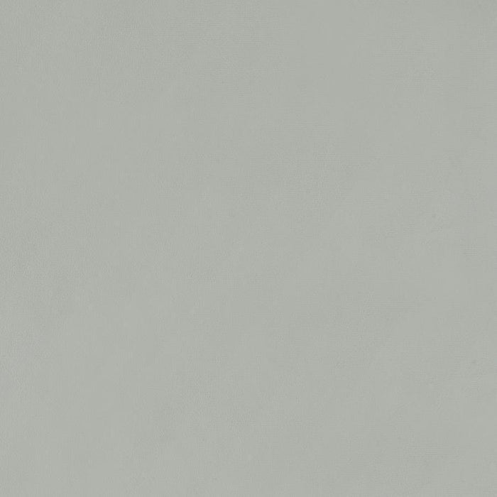 Thermosolis - Clear Acrylic Chair (Set of 2)