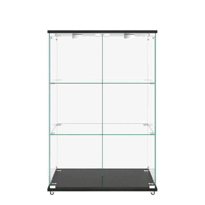 Modern Display Cabinet With LED Lights, Transparent Tempered Glass 2 Door Storage Case With 3 Shelves