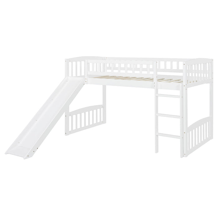 Loft Bed With Slide And Ladder