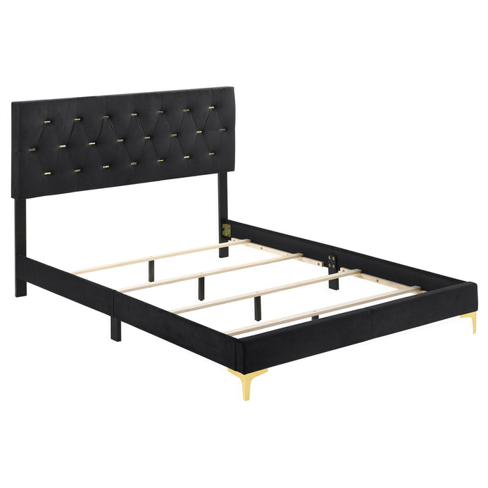 Lexie - Tufted Panel Bed