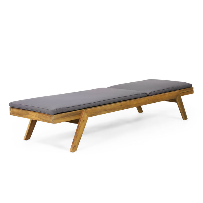 Nebulon - Outdoor Adjustable Chaise Lounge With Water Resistant Cushions (Set of 2)