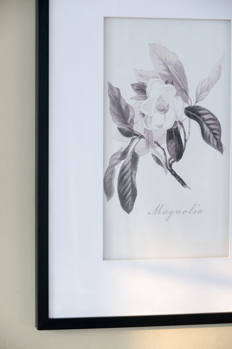 Botanical Wall Art Prints, Home Decor For Living Room Dining Room, Bedroom, Hallway (Set of 4) - White / Black