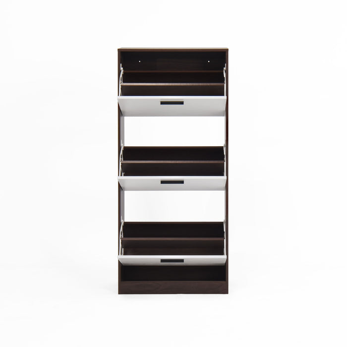 Modern Freestanding Shoe Storage Cabinet With 3 Flip Drawers