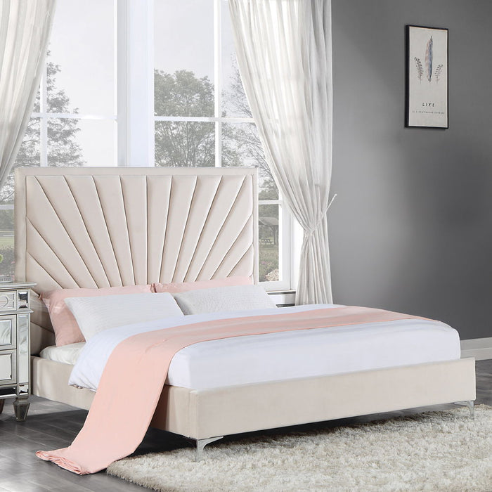 Faiz - Bed