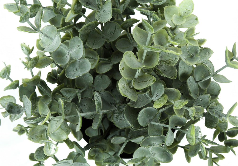 11" Tall, Artificial Plant, Eucalyptus Grass, Indoor, Faux, Fake, Table, Greenery, Potted, Decorative (Set of 2) - Green / Black