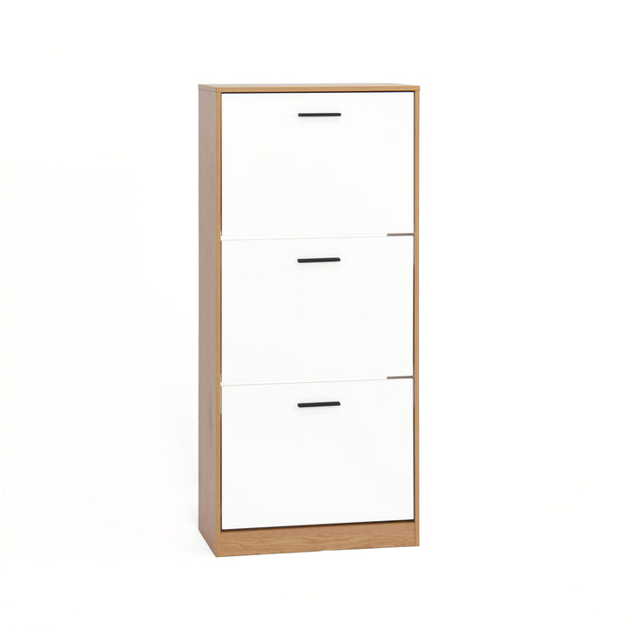 Modern Freestanding Shoe Storage Cabinet With 3 Flip Drawers