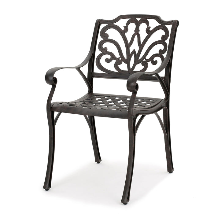 Patio Cast Aluminum Outdoor Dining Chairs (Set of 2) - Bronze
