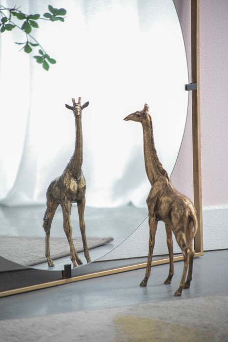 Poppy Mirror With Metal Frame Contemporary Design For Bathroom, Entryway Wall Decor