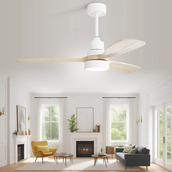 Indoor Ceiling Fan With Dimmable LED Light, 6 Speed Remote ControlLED DC Motor, Reversible Blades