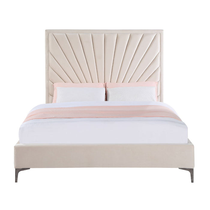 Faiz - Bed
