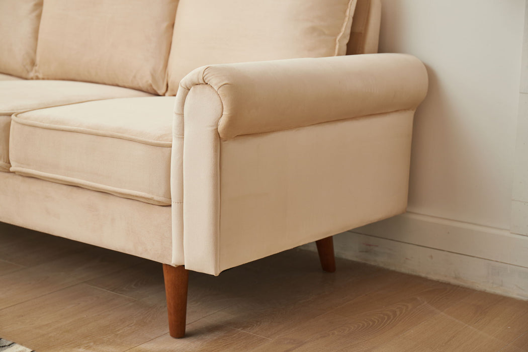 Graceful Design Plush Comfort Sofa