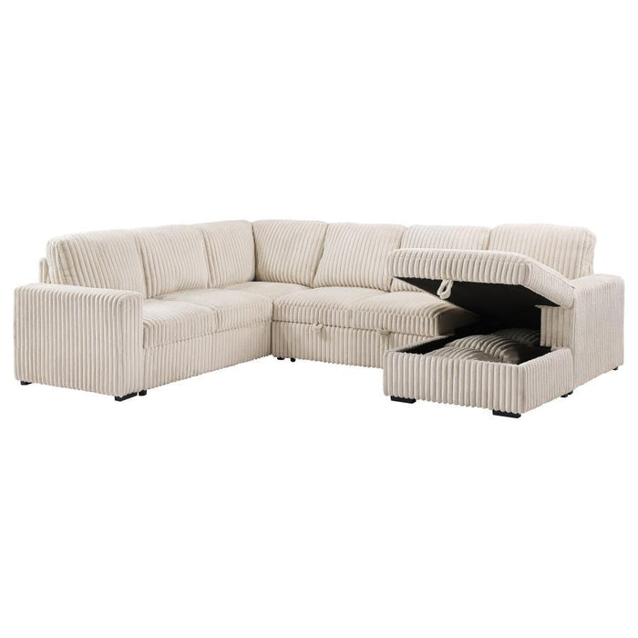 Devonshire - Sleeper Sectional Sofa Storage Chaise