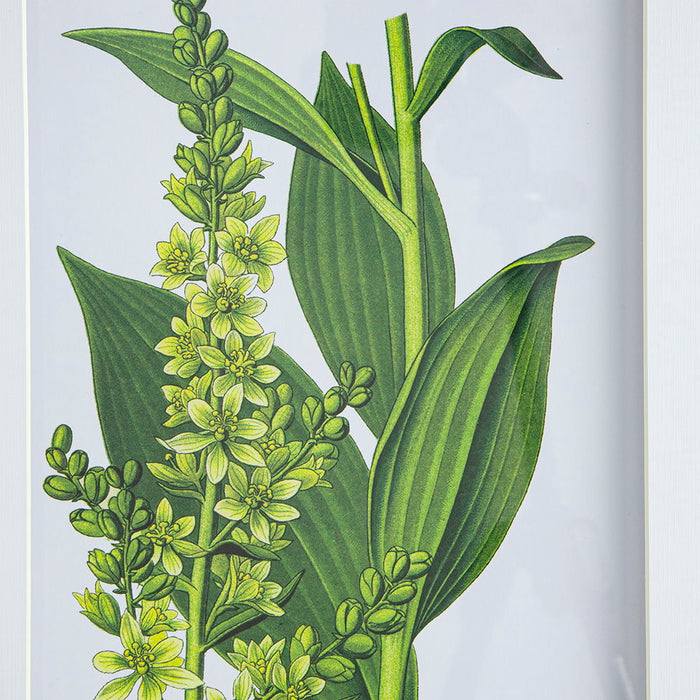 Botanical Flower Wall Art, Home Decor For Living Room Dining Room, Bedroom, Hallway (Set of 4) - White / Blue