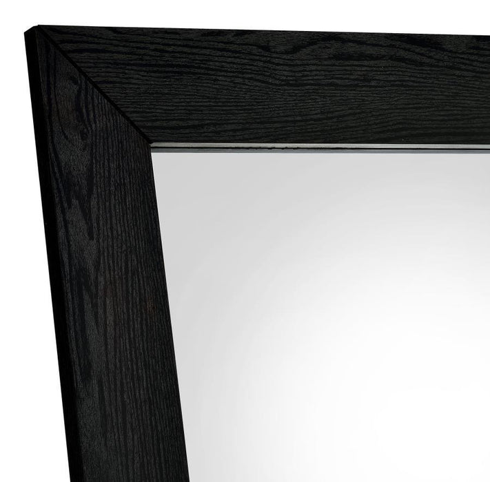 Cadence - Tempered Glass Full Length Mirror