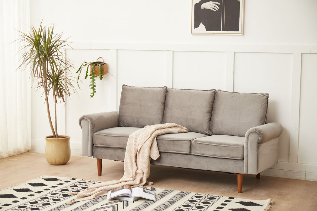 Graceful Design Plush Comfort Sofa