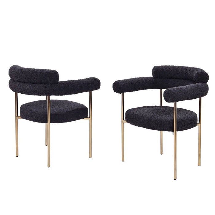 Upholstered Accent Dining Chairs With Armrests (Set of 2)