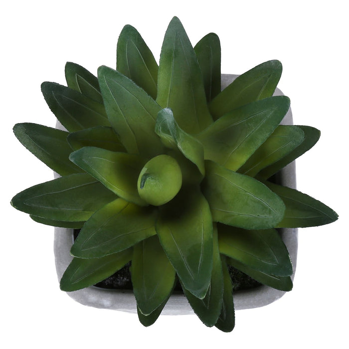 Artificial Succulent, Table Decor (Set of 2) - Green / Gray