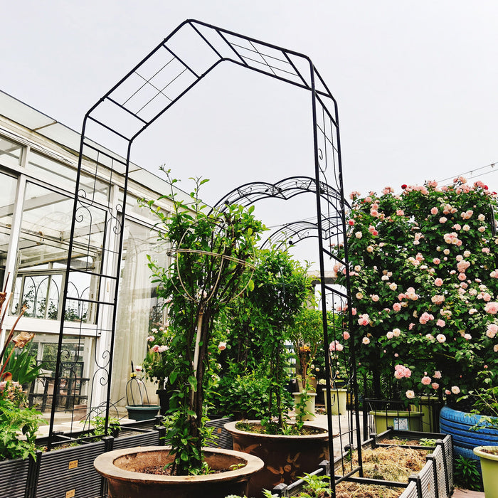 Garden Arch, Climbing Plants Support Outdoor - Black