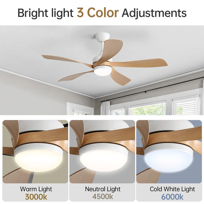 Ceiling Fan & DC Motor And Integrated Light