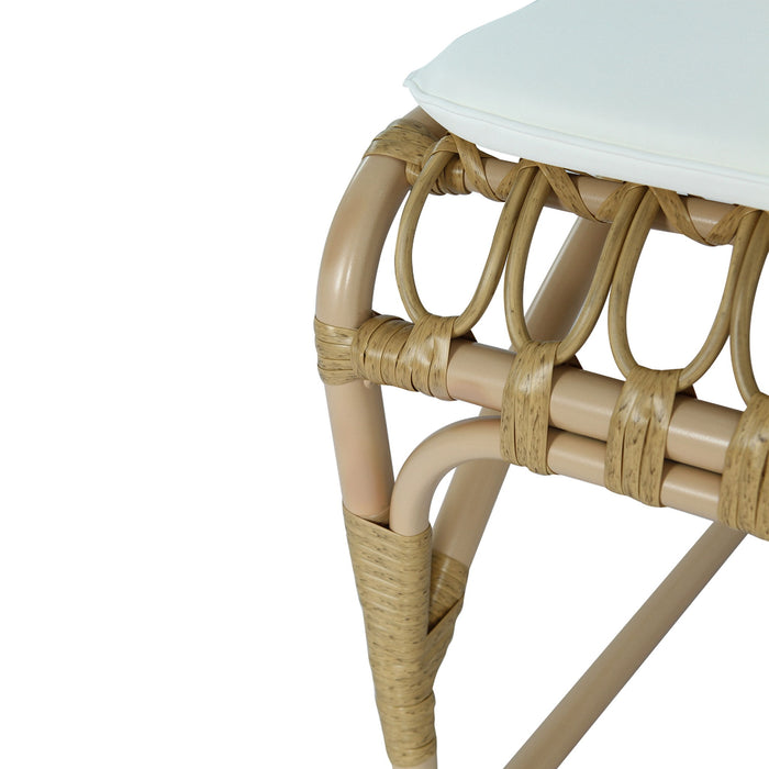 Outdoor Wicker Dining Chairs With Washable Cushion (Set of 2)