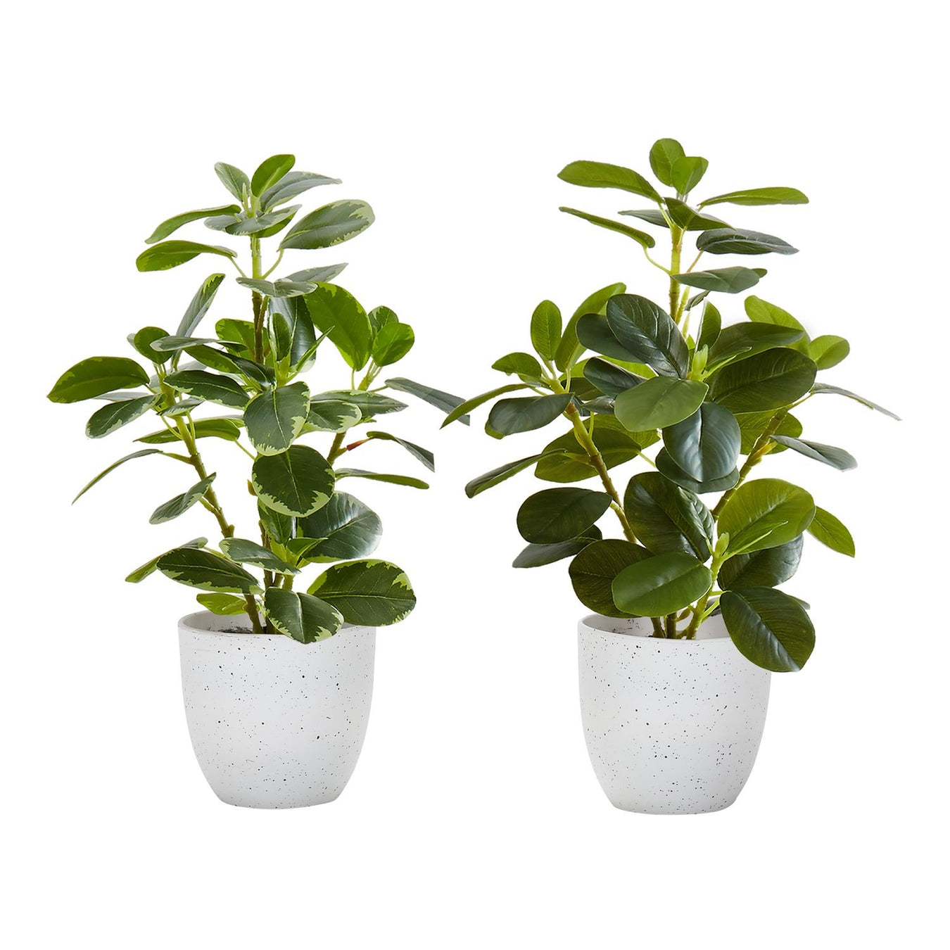 Planters & Vases