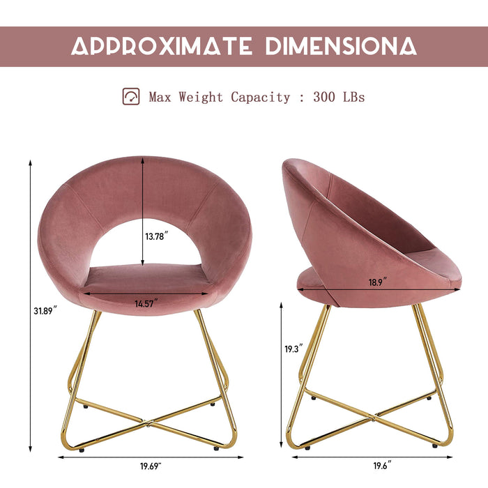 Modern Accent Velvet Chair (Set of 2)