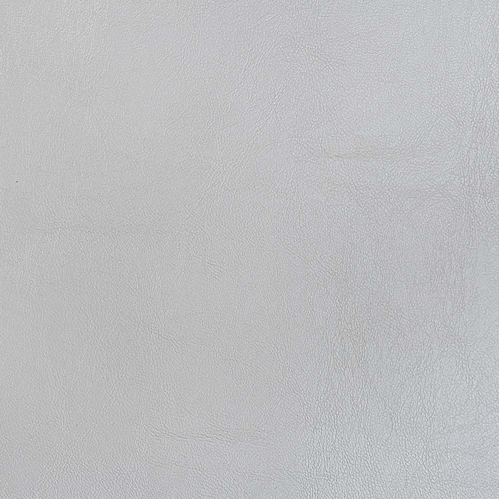 Valkyrie - Side Chair (Set of 2) - Synthetic Leather & Antique Platinum