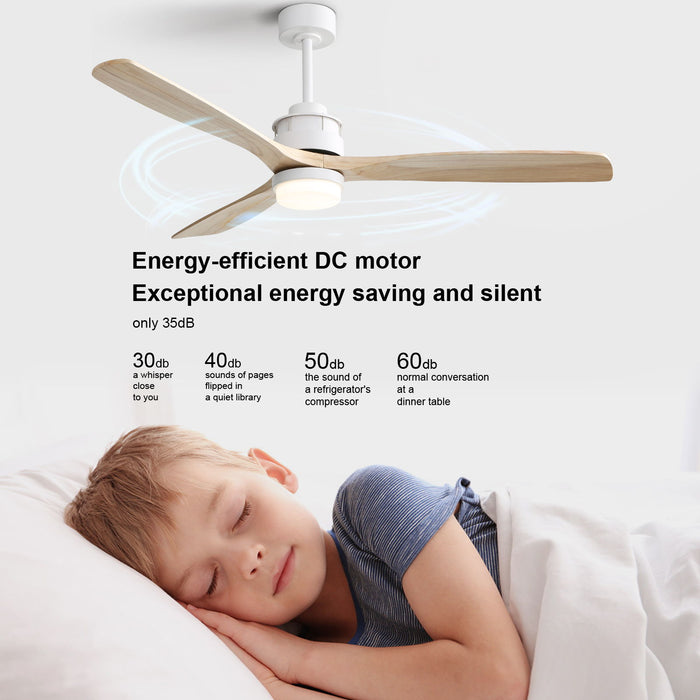 60" Ceiling Fan With Remote Control Light For Indoor And Outdoor Use - White