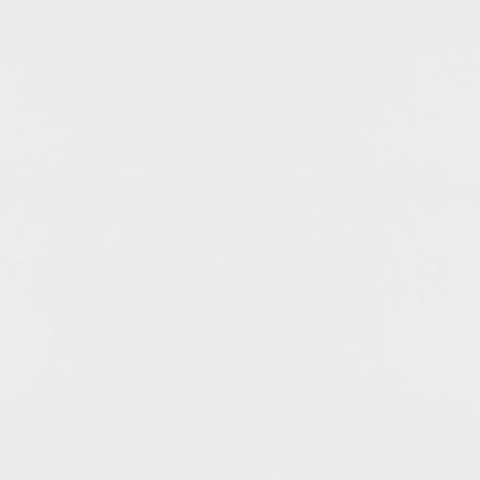 Elsa - 2 Door Wood Storage Accent Cabinet - White And Gold