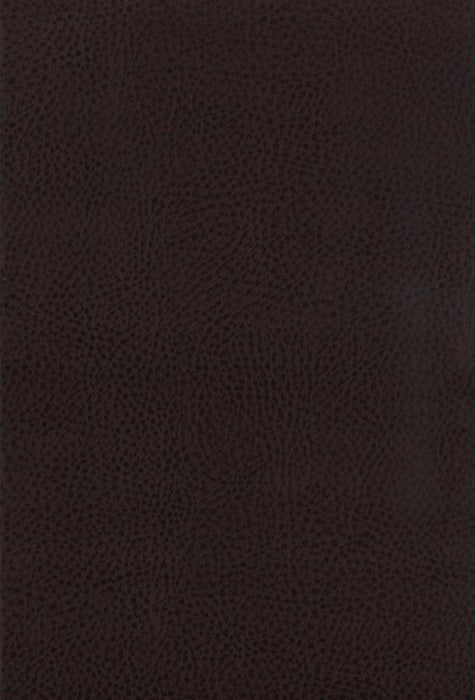 Dewey - Upholstered Counter Chair (Set of 2) - Walnut