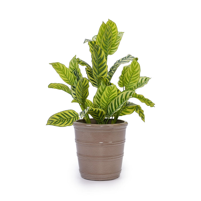 3 Pieces Flowerpot, Planter For Patio, Garden Or Windowsills