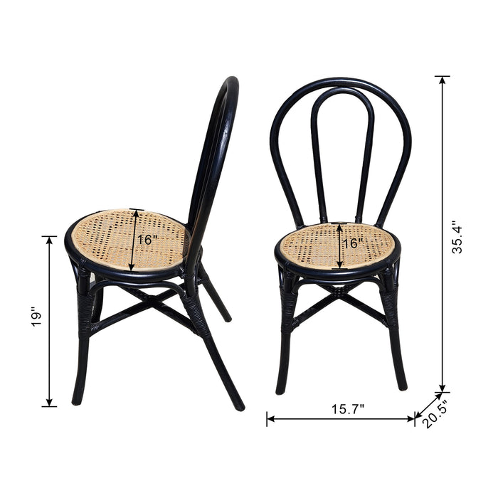 Rattan Dining Chair (Set of 2) - Black Multi