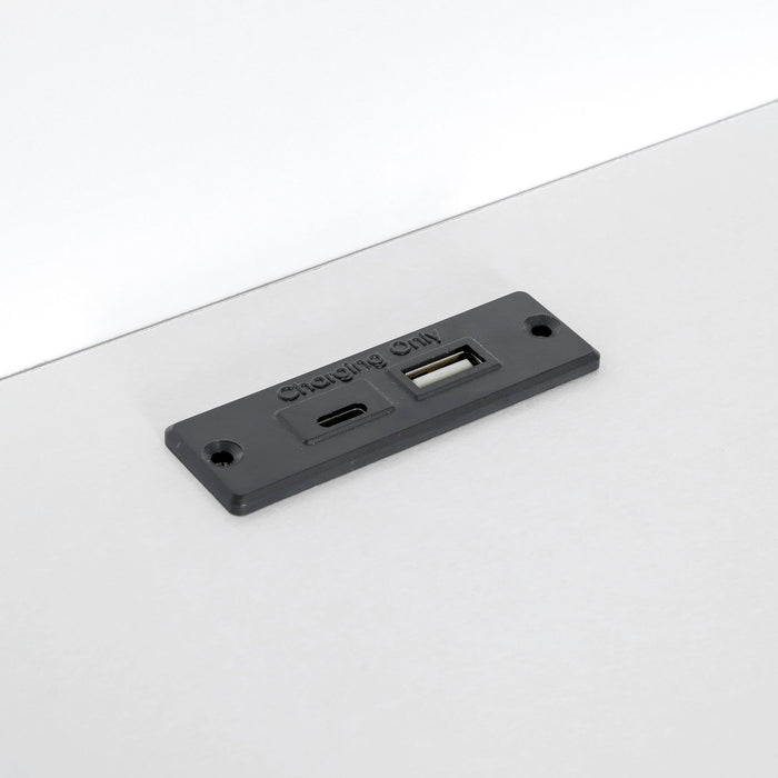 Daybed With Storage Shelves, USB Charging, And Trundle Bed