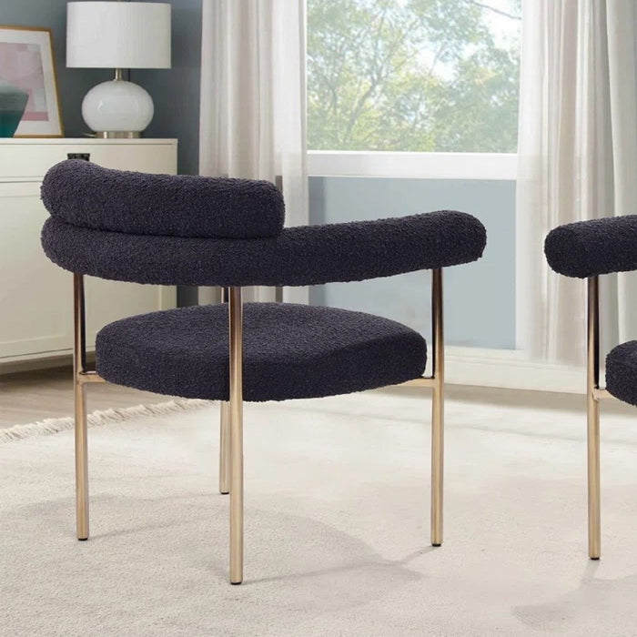 Upholstered Accent Dining Chairs With Armrests (Set of 2)