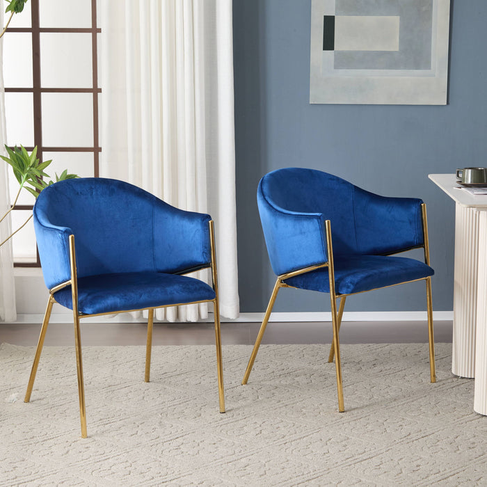 Modern Upholstered Dining Chair With Frame And