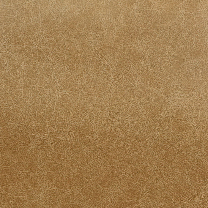 Pippin - Accent Chair - Morocco Top Grain Leather