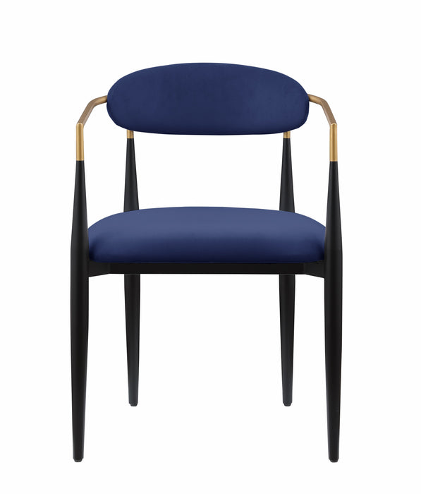 Modern Contemporary 2 Pieces Side Chairs Blue Fabric Upholstered Ultra Stylish Chairs Set