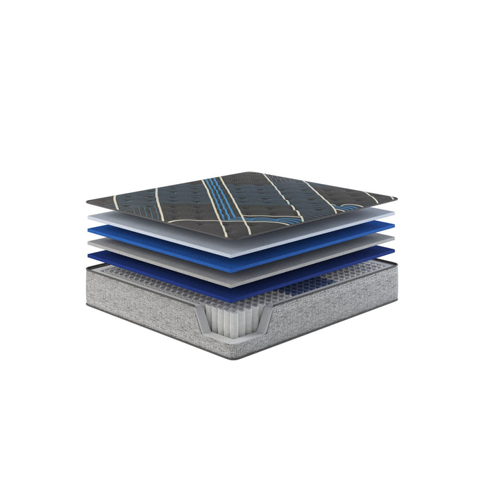 Comfort Care - 15" Euro Top Hybrid Mattress, Plush Comfort