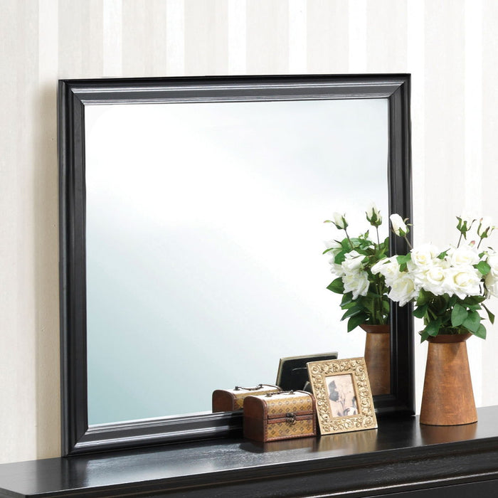 Elegant Traditional Wall Mirror - Black