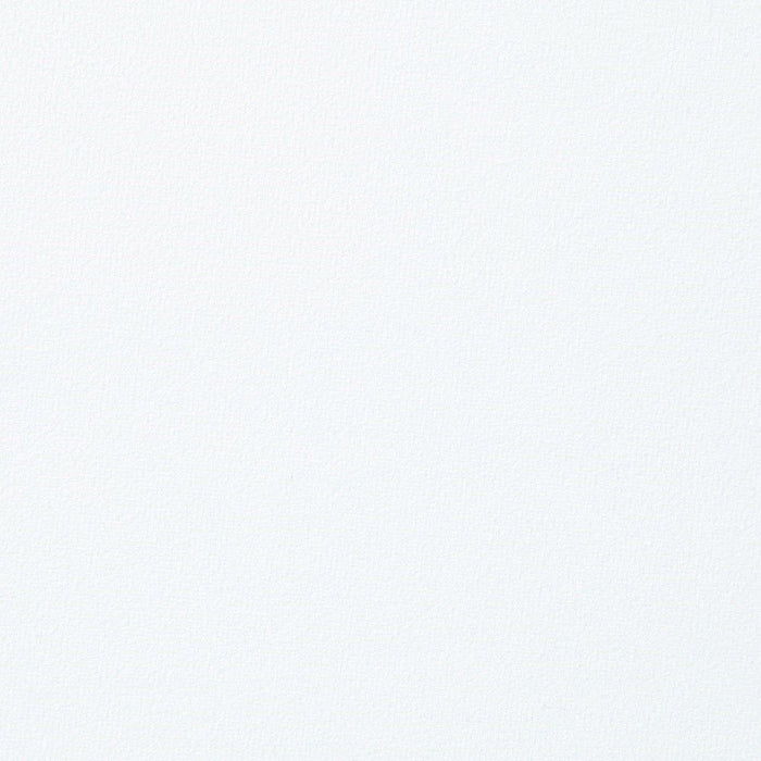 Fallon - Side Chair Set of 2) - White Velvet & Mirrored Gold