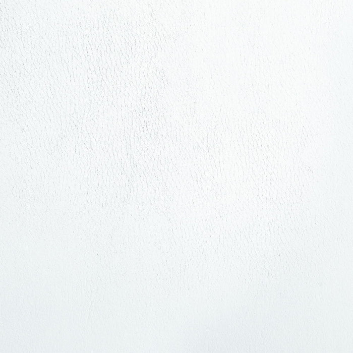 Palton - Side Chair Set of 2) - White Synthetic Leather & Chrome