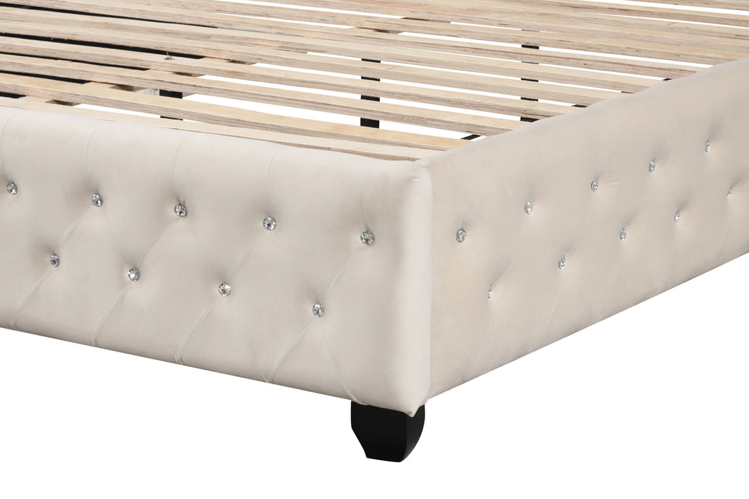 Sophia - Upholstered Bed