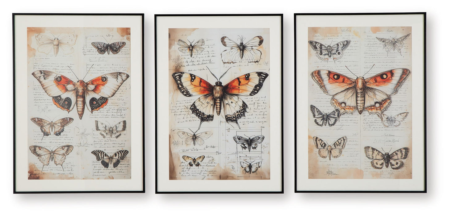 Jossletts - Wall Art Set (Set of 3) - Orange / Black / Ivory