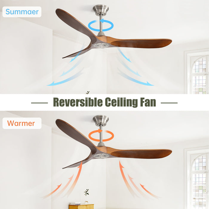 60" Outdoor Ceiling Fan Without Light 3 ABS Blade With Smart App Control